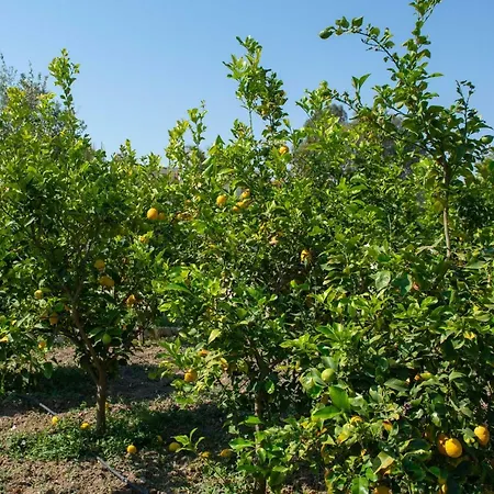 Oasis House In Filerimos Casa di campagna *