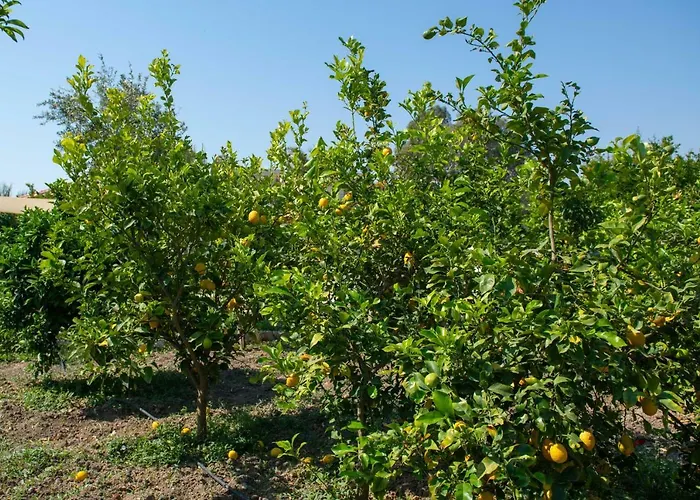 Oasis House In Filerimos Country house *